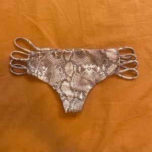 Acacia python Molokai bottom